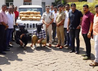 ಬೃಹತ್ ಪ್ರಮಾಣದಲ್ಲಿ ಸಾಗಾಟ ಮಾಡುತ್ತಿದ್ದ 28 ಲಕ್ಷ ಮೌಲ್ಯದ ಗಾಂಜಾ ವಶ; ಇಬ್ಬರು ಆರೋಪಿಗಳ ಸೆರೆ