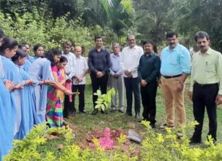 ವಿಶ್ವ ಪರಿಸರ ದಿನದ ಅಂಗವಾಗಿ ವನಿತಾ ಪಾರ್ಕ್ ನಲ್ಲಿ ಗಿಡಗಳ ಹುಟ್ಟುಹಬ್ಬ ಆಚರಣೆ