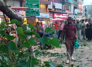 ಹಂಪನಕಟ್ಟೆ: ಮರದ ಕೊಂಬೆ ಮುರಿದು ಬಿದ್ದು ಮೂವರು ವಿದ್ಯಾರ್ಥಿನಿಯರಿಗೆ ಗಾಯ