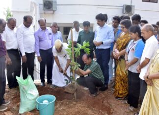 ರೆಡ್ ಕ್ರಾಸ್ ವತಿಯಿಂದ ಪರಿಸರ ದಿನಾಚರಣೆ