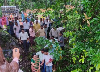 ಶಿಥಿಲಾವಸ್ಥೆಯಲ್ಲಿರುವ ಮಚ್ಚಟ್ಟು-ಕಬ್ಬಿನಾಲೆ ಸಂಪರ್ಕ ಸೇತುವೆ ಜಿಲ್ಲಾಧಿಕಾರಿಯಿಂದ ಪರಿಶೀಲನೆ